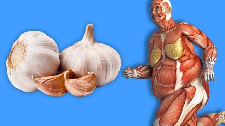 Une vieille astuce avec du miel et de l’ail qui va transformer ta santé…