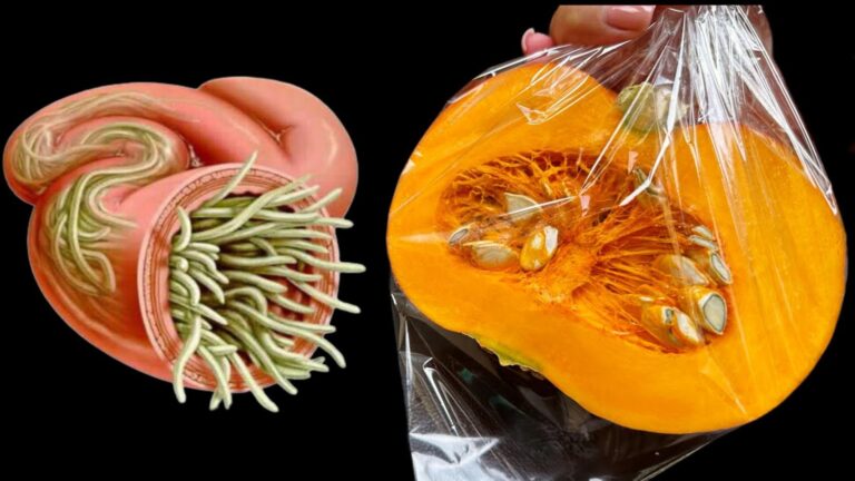 Une idée toute simple pour éliminer naturellement tous les parasites du jardin…