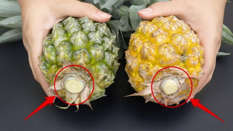 Cette vieille astuce vous révèle en un instant si l&rsquo;ananas est sucré ou aigre…