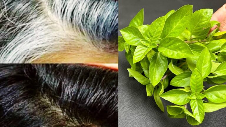Cette vieille astuce redonne éclat et jeunesse à vos cheveux…