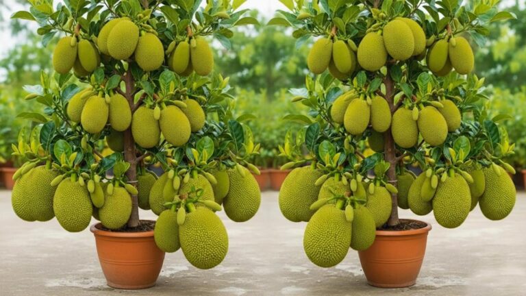 Cette astuce pour cultiver le jacquier vous surprendra… des fruits géants chez vous !