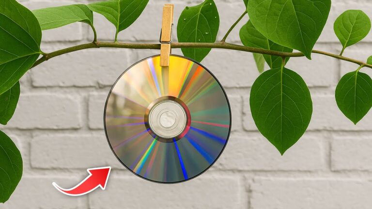 14 astuces maison qui transformeront votre quotidien et que vous ne connaissaient pas !