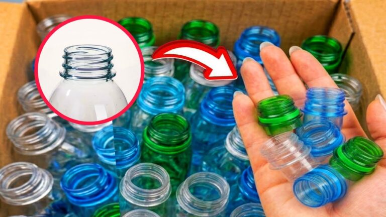5 astuces incroyables pour réutiliser vos bouteilles et ne plus rien jeter !