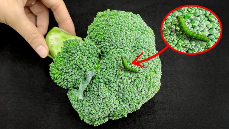 14 astuces de cuisine brillantes pour transformer votre quotidien !
