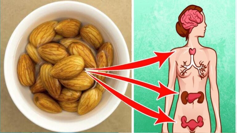 5 bienfaits étonnants des amandes à déguster chaque matin !