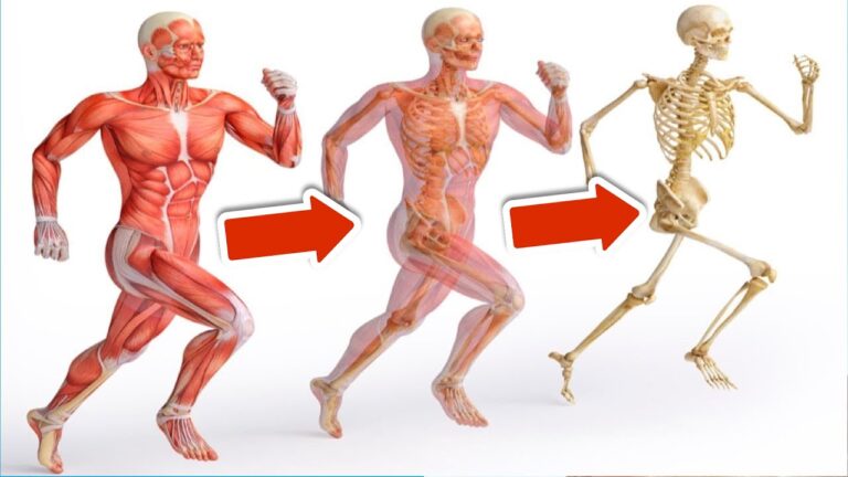 Découvrez 5 incroyables bienfaits de courir 5 minutes par jour !
