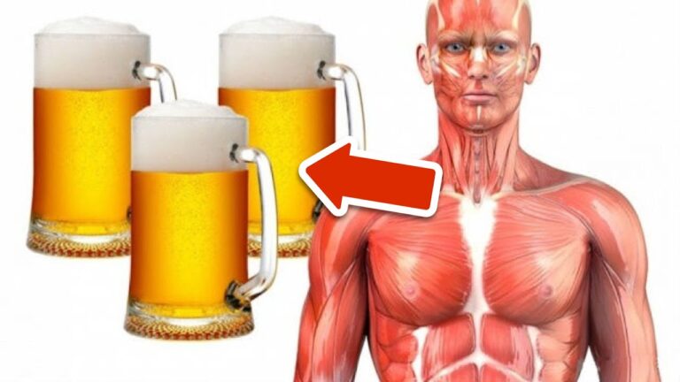 Découvrez 7 bienfaits surprenants de boire 0,5 litre de bière chaque jour ! 🍺✨