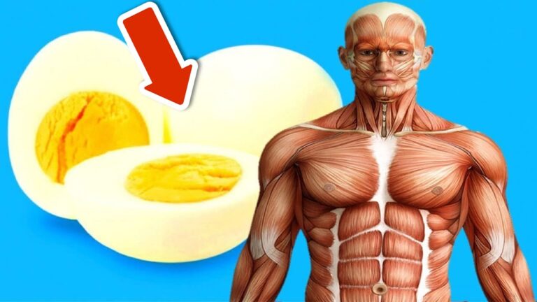 Découvrez les 5 bienfaits surprenants de manger 2 œufs chaque matin pendant 1 mois !