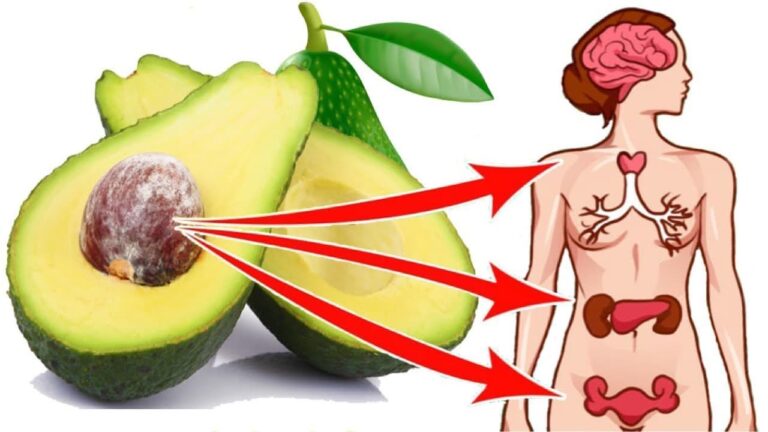 Mangez 1 avocat par jour : 7 bénéfices surprenants pour votre santé !