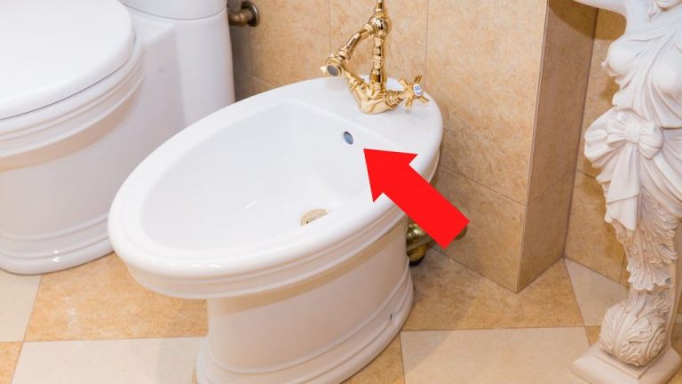 Le secret du deuxième trou du bidet : une astuce méconnue en salle de bain