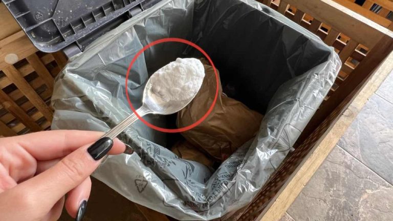 Eliminez les mauvaises odeurs de vos poubelles en un clin d&rsquo;œil