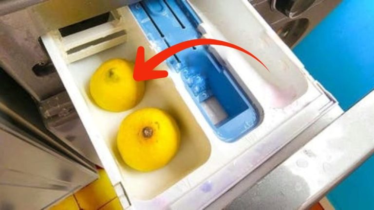 Mettez deux citrons dans votre machine à laver pour un linge éclatant