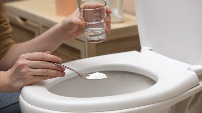 Obtenez une eau pétillante propre sans effort !