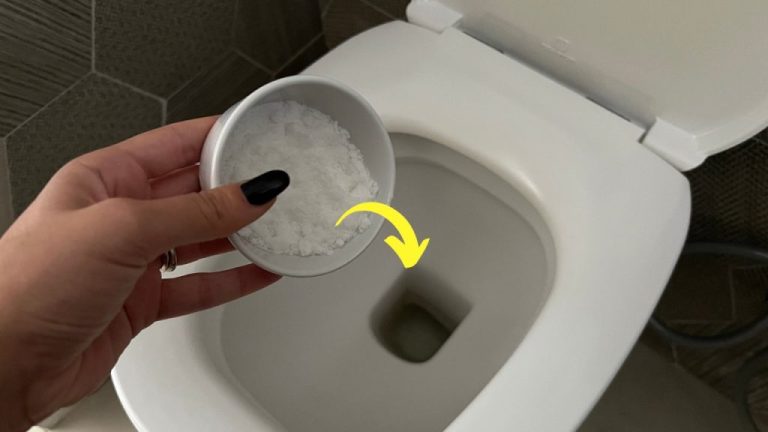 Des toilettes fraîches et parfumées : le remède naturel incontournable