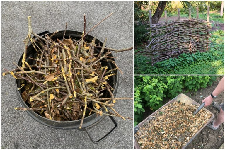 7 Utilisations surprenantes des coupures d&rsquo;arbres fruitiers