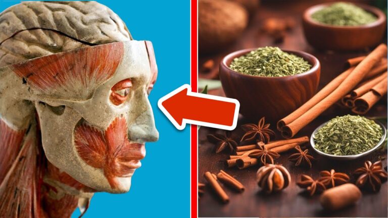 Boostez votre cerveau : 6 herbes et épices pour des performances au top !