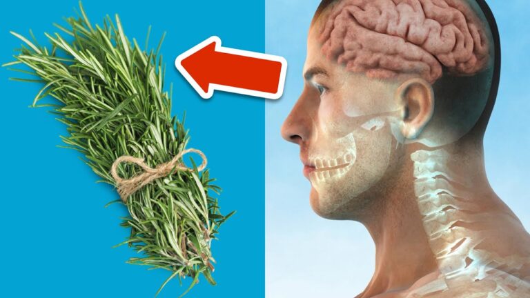 1 cuillère par jour pour garder ton cerveau jeune et actif ! Découvre le secret !
