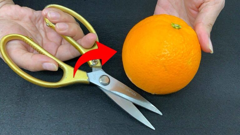 Éplucher une orange en 3 étapes simples avec des ciseaux, découvrez comment !