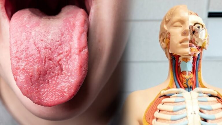 10 faits étonnants sur le corps humain qui vont vous surprendre !