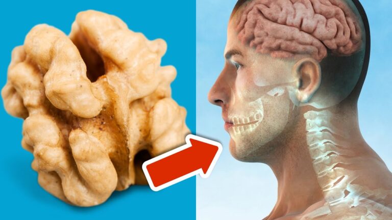 9 aliments qui prolongent ta vie : découvre les secrets d&rsquo;une santé optimale !