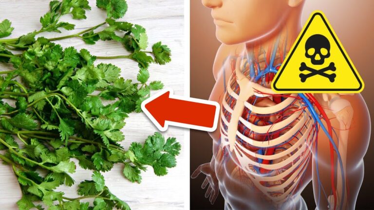 Éliminez 7 métaux lourds de votre corps avec cet incroyable herbe naturelle !