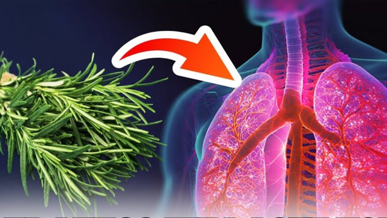 5 astuces efficaces pour dissoudre le mucus et respirer librement !