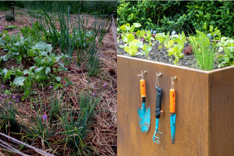 Comment cultiver sans retourner la terre dans vos potagers surélevés